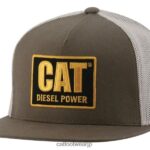 ディーゼルパワーフラットビルキャップ 暗い地球 男性 N2JB0V249 Caterpillar |帽子
